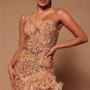 Fashion Nova Esme Sequin Feather Dress